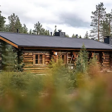 Ruska-ruka 9.1 Ruka